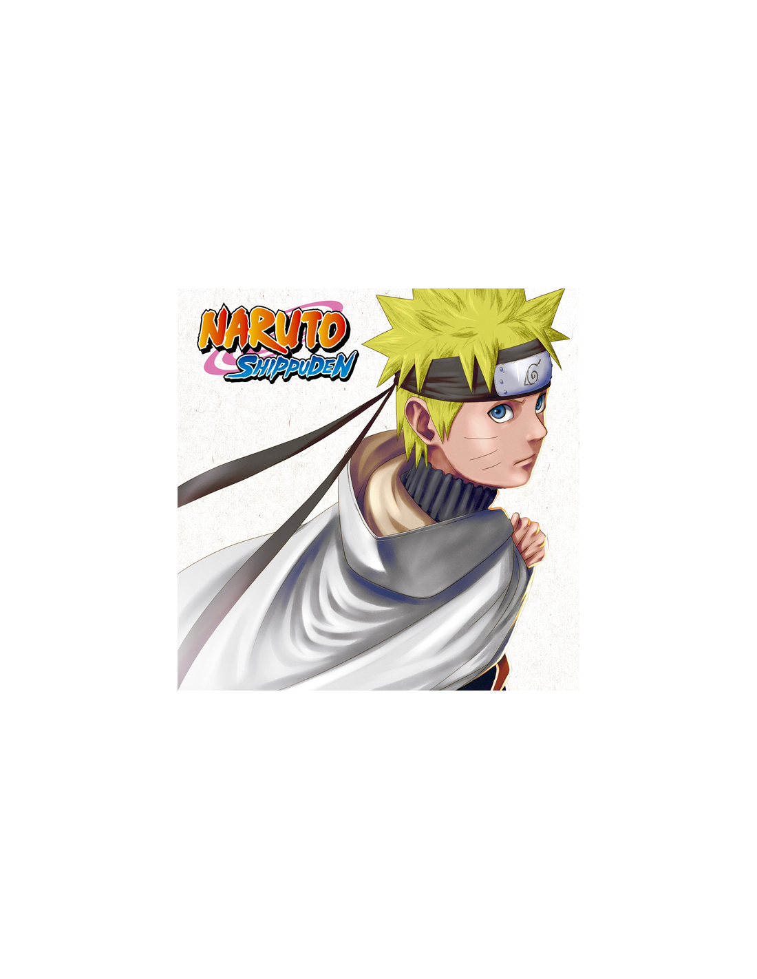 Naruto Shippuden Box6 DVD [DVD]