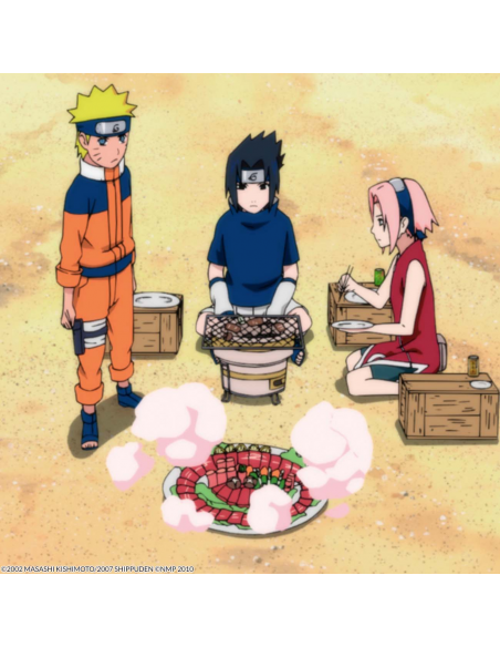 Naruto Película 7. Naruto Shippuden Película 4: La Torre Perdida