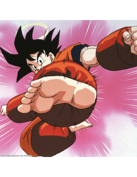 Dragon Ball Z Box 11