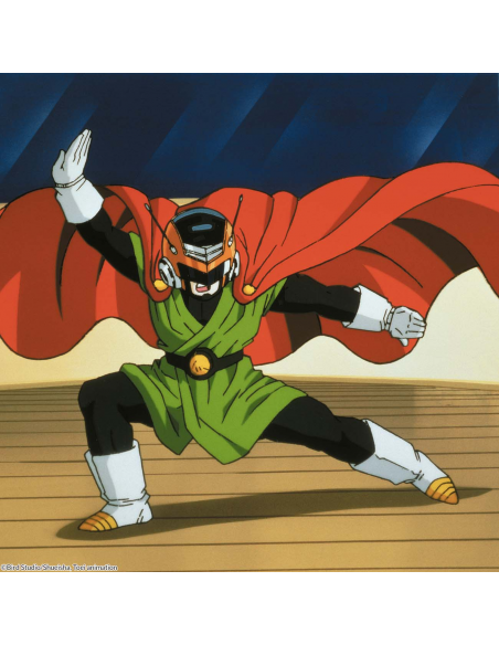 Dragon Ball Z Box 11