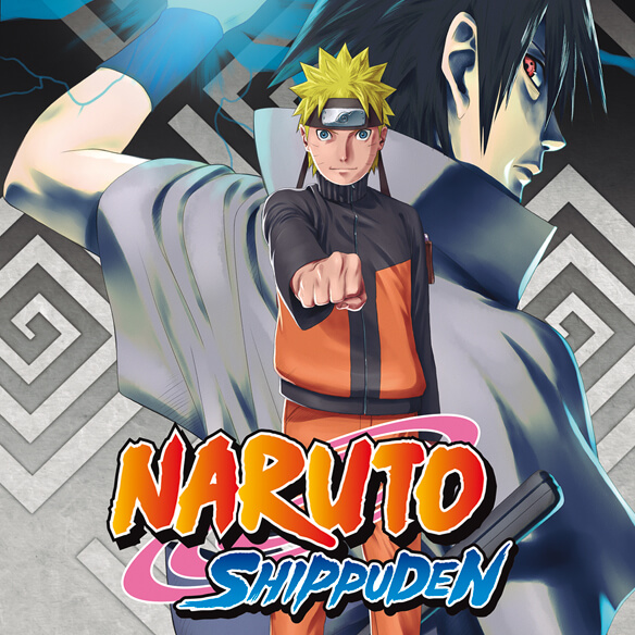 DVD NARUTO SHIPPUDEN V9 - DVD COFFRET 3 (NARUTO SHIPPUDEN, 9) (Edição  Francesa)