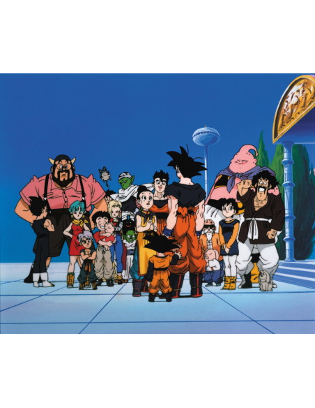 DRAGON BALL Z BOX 14 BLURAY episodios 271 a 291