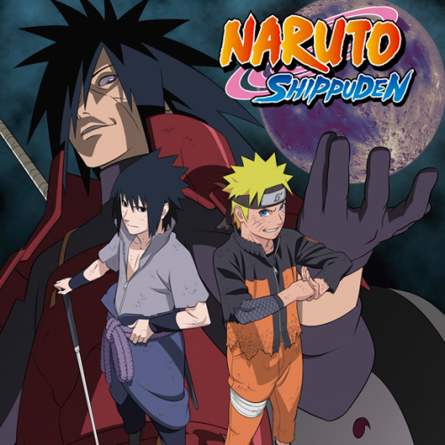 Naruto shippuden box 13