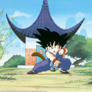 Dragon Ball Monster Box 2024. Dvd (37 Dvd)