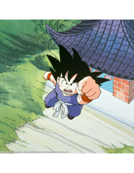 Dragon Ball Monster Box 2024. Dvd (37 Dvd)