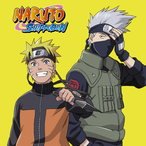 Naruto Shippuden Box 15