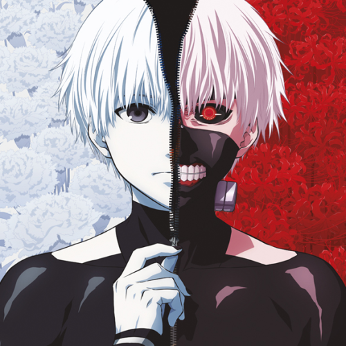 Tokyo Ghoul. Serie completa...