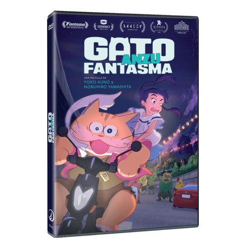 DVD
