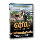 Gatos  Dvd