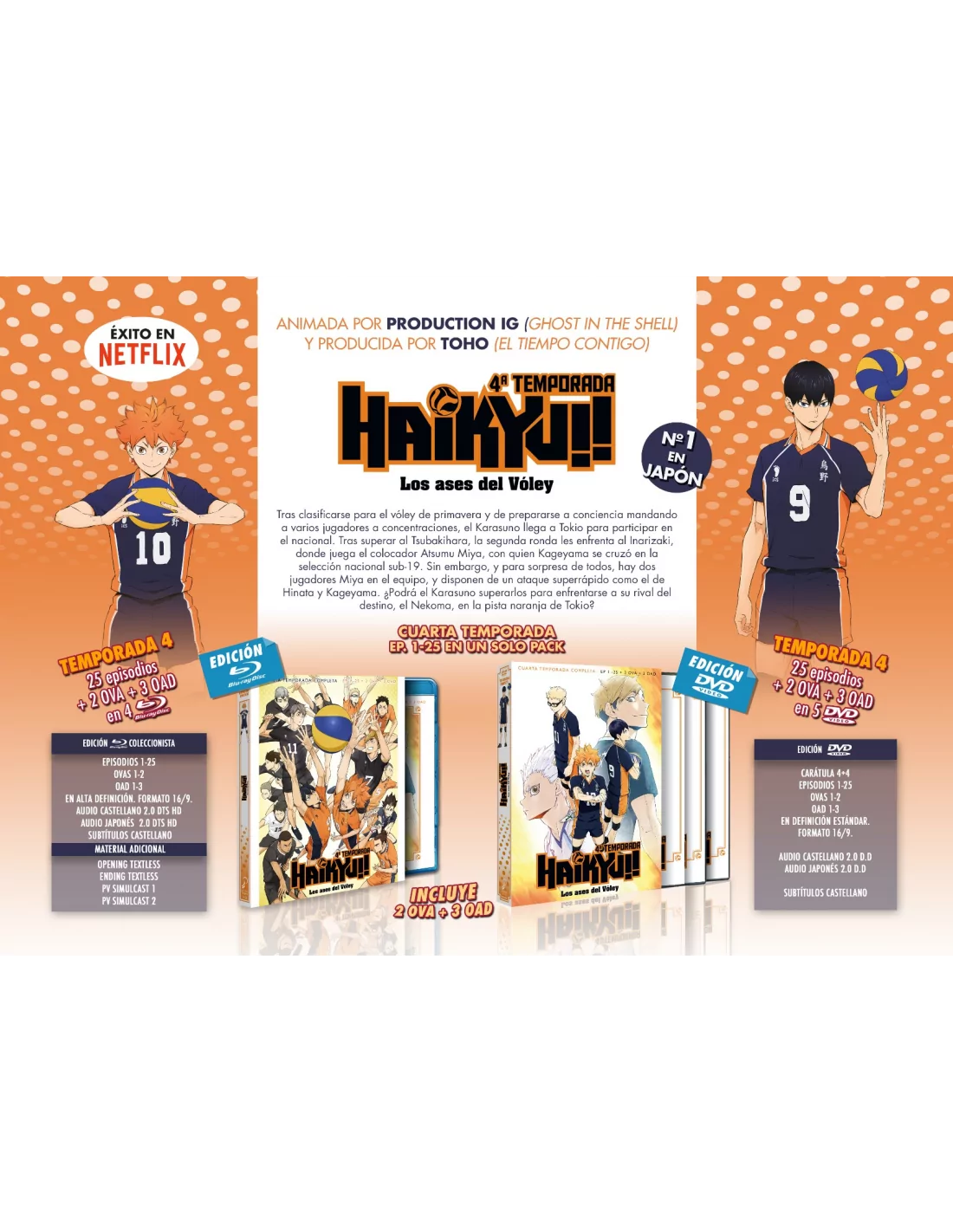 DVD Anime Haikyuu!! Season 4: To The Top (1-25 End + 2 OVA